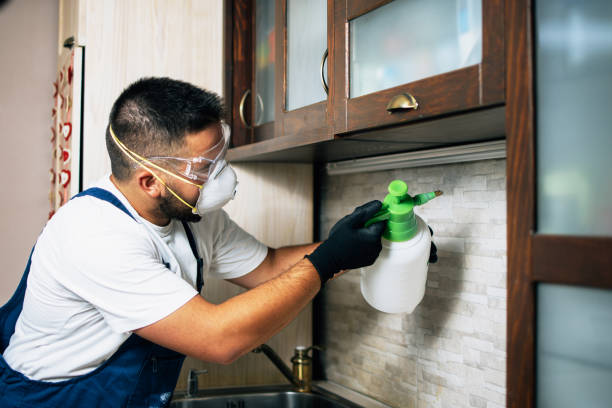 Professional Pest Control in Southgate, FL