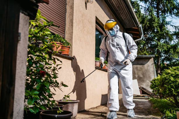 Wasp Removal Services in Southgate, FL
