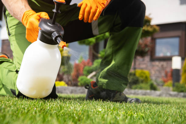 Best Commercial Pest Control Services  in Southgate, FL