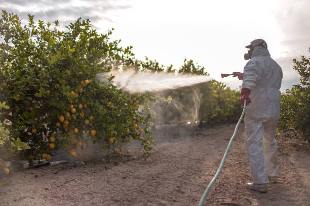 Best Exterminator Services  in Southgate, FL