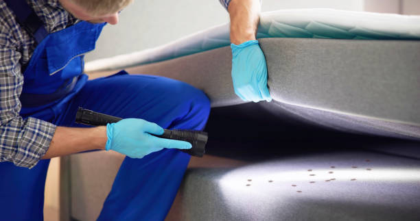 Pest Prevention Services in Southgate, FL