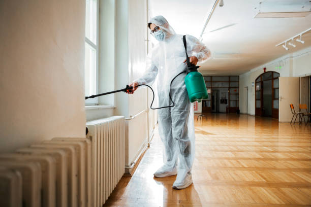 Best Pest Removal Services  in Southgate, FL