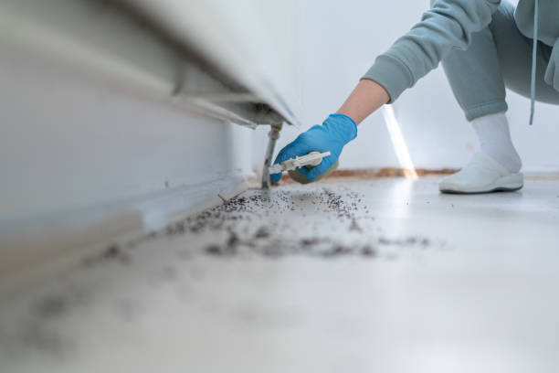 Best Best Pest Control Companies  in Southgate, FL
